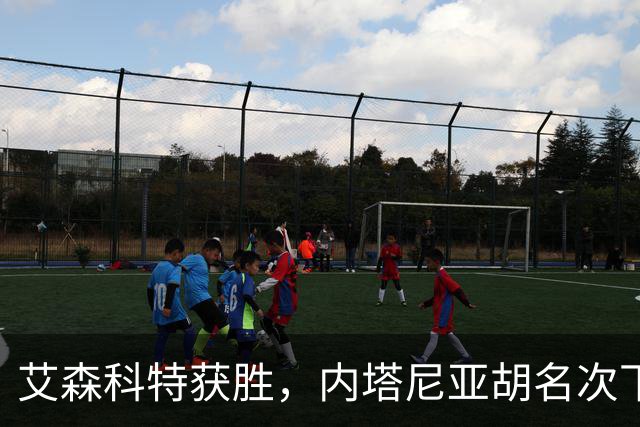 艾森科特获胜，内塔尼亚胡名次下降，以色列政局动荡